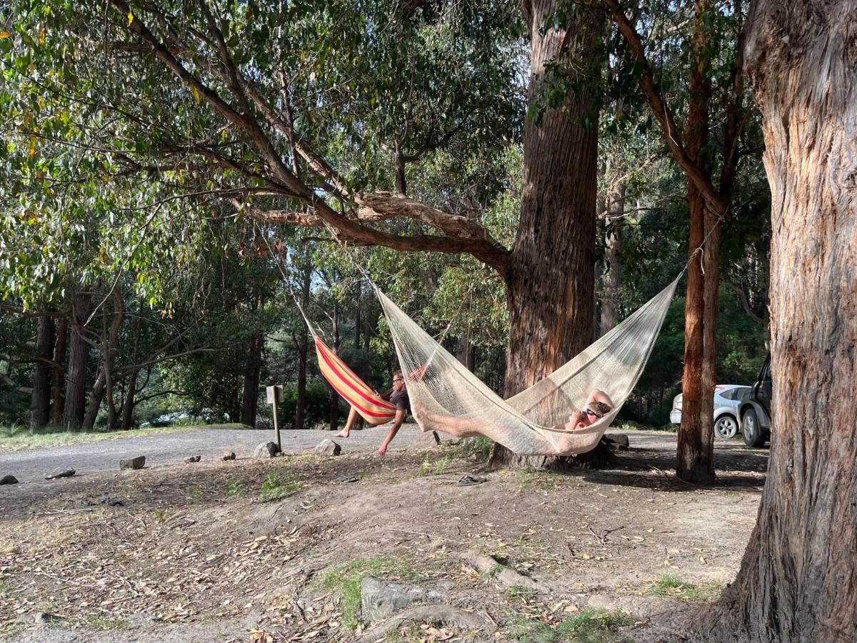 Hotel Base Camp Tasmania à New Norfolk Extérieur photo