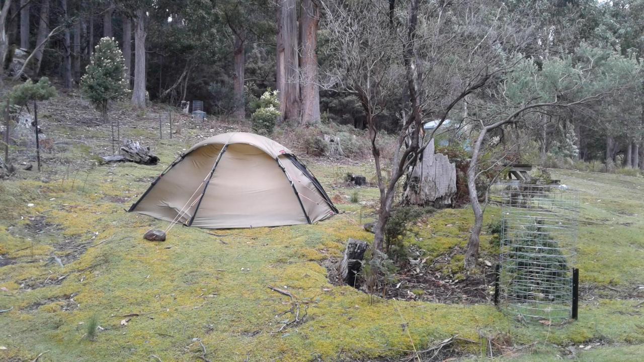 Hotel Base Camp Tasmania à New Norfolk Extérieur photo